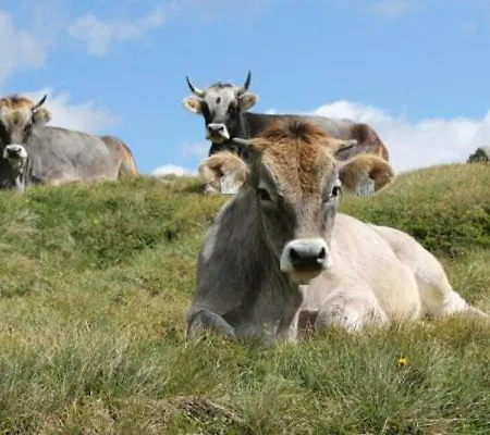 Olympia Privathotel Garni בית הארחה 3*