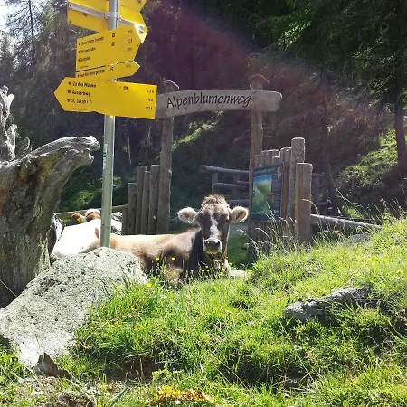 Olympia Privathotel Garni 3*